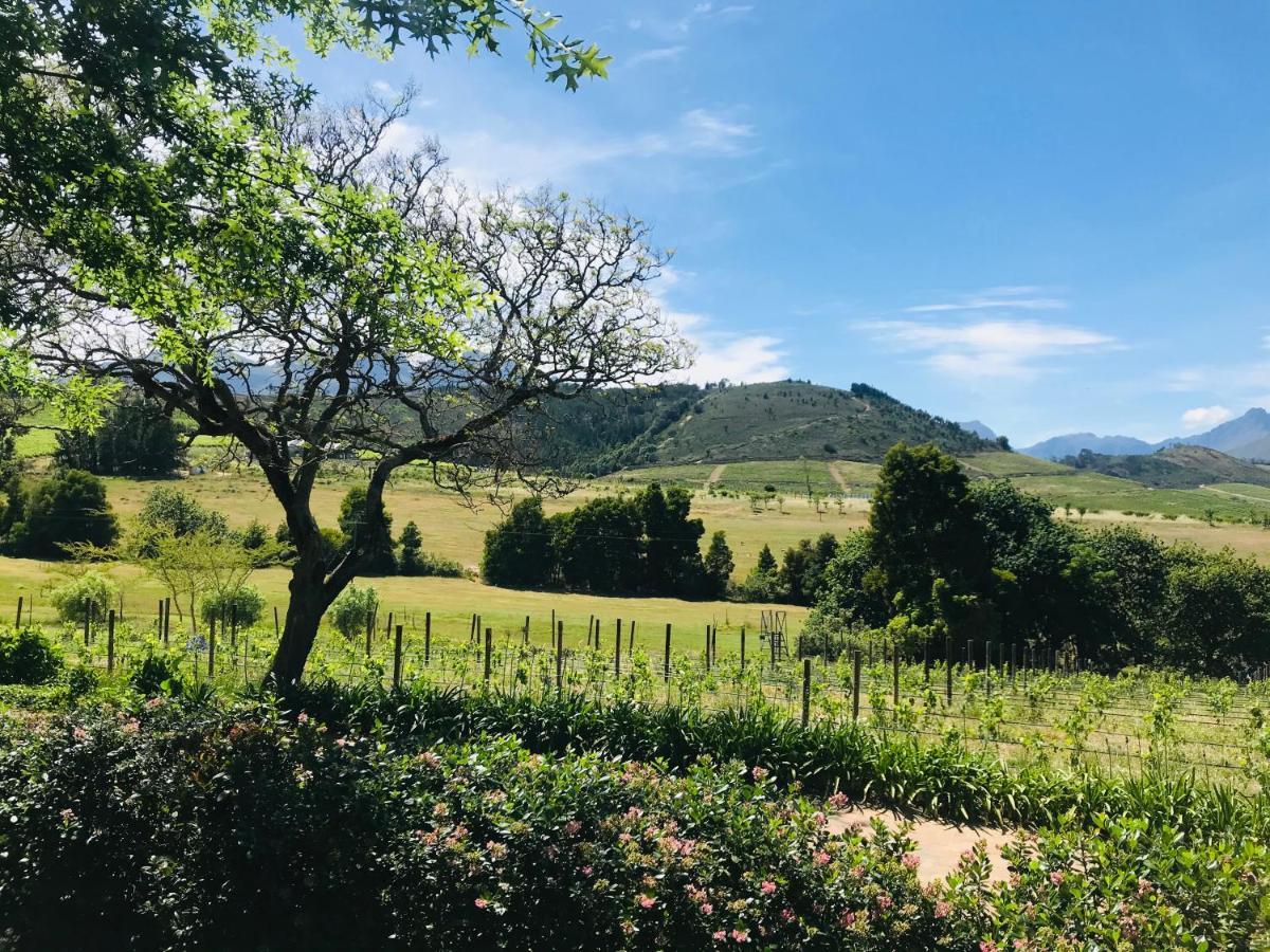 Winelands Guest Room Stellenbosch Exterior foto